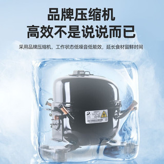 CHIGO 志高 迷你冰箱小 小型双门电冰箱家用宿舍冷冻冷藏节能