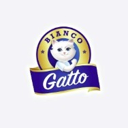 Gatto BIANCO/大猫贝艾可
