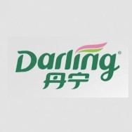 Darling/丹宁