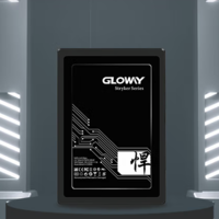 GLOWAY 光威 悍将系列 高速版 SATA 固态硬盘（SATA3.0）512G