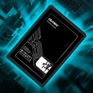 GLOWAY 光威 悍将系列 高速版 SATA 固态硬盘 128GB（SATA3.0）