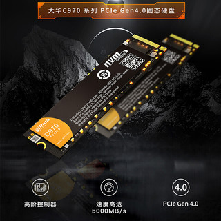 大华（Dahua） 1TB SSD固态硬盘 M.2接口(NVMe协议PCIe4.0×4）C970