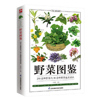 《野菜图鉴》