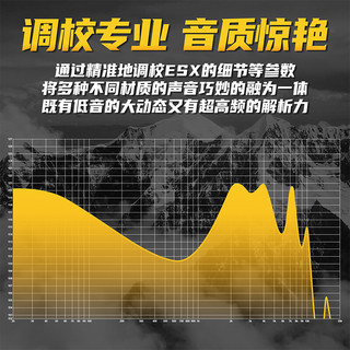 KZ ESX 动圈入耳式有线耳机 内置12mm仿生大动圈 HIFI高保真重低音音乐监听级耳机