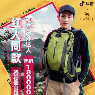 CAMEL骆驼户外登山包男大容量轻便双肩背包女徒步旅行包超大防水旅游包 LT2S04001，50L，灰色，带防雨罩 均码