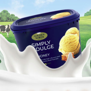 Golden North 金诺斯 冰淇淋 蜂蜜味 2L