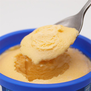 Golden North 金诺斯 冰淇淋 蜂蜜味 125ml