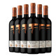 PLUS会员：火地岛 智利原瓶进口火地岛经典梅洛干红葡萄酒 750mL 六支整箱