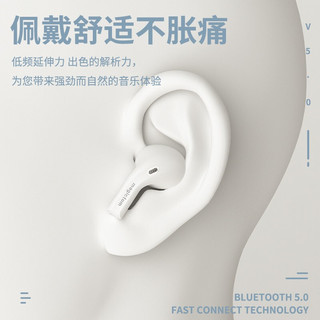 couvezi 国为 入耳式真无线蓝牙耳机主动降噪 蓝牙5.2 触控面板 适用于苹果/安卓系统 白色火炬款