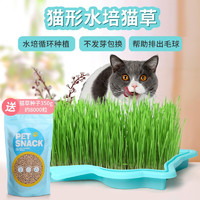 huaxu 华畜 卡通猫形水培猫草种子