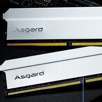 Asgard 阿斯加特 16G DDR4 3600 台式机内存条 弗雷系列-钛银甲