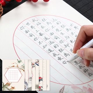 南国书香 文艺花鸟系列 NG3029 硬笔书法作品纸 2本装