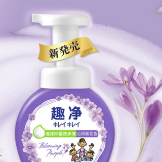 LION 狮王 泡沫抑菌洗手液 沁妍紫花香 250ml