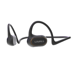 LIVALL 蓝牙耳机开放式可拆卸无线降噪音乐通话防水防汗LTS21 深空黑（精英版）