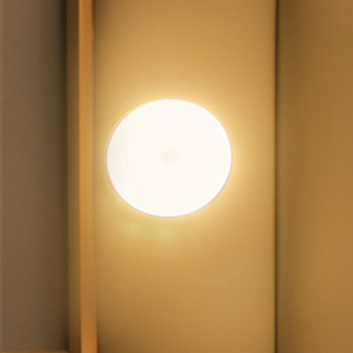 DELIXI 德力西 MT701 LED小夜灯 0.5W 黄光 2只装 触摸调光款