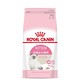 ROYAL CANIN 皇家 K36 全价幼猫猫粮 10kg