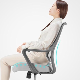 YANXUAN 网易严选 人体工学电脑椅 基础版