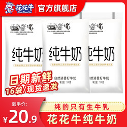 HuaHuaNiu 花花牛 官方旗舰店纯奶原奶鲜奶透明袋装纯牛奶180g*10袋