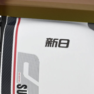 SUNRA 新日 小丽诺 2.0 电动自行车 TDT9451Z