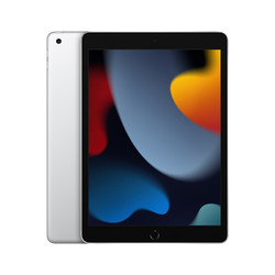Apple 苹果 iPad 10.2英寸平板电脑 银色 256G WLAN版