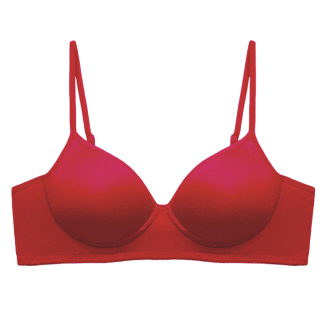 自由天堂真丝系列女士无钢圈文胸zytt001大红80c
