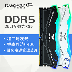 Team 十铨 DELTA DDR5 6400 32G(16G