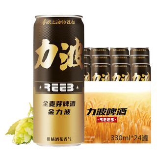 REEB 力波啤酒 金力波 全麦芽啤酒 330ml*24听