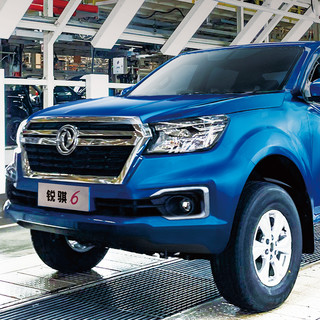 DONGFENG MOTOR 东风汽车 锐骐6 22款 2.4L 手动 两驱 智臻型 汽油