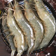 PLUS会员：澳角大厝 厄瓜多尔海捕大虾单只15-18cm 20-25只 1斤