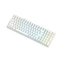 ROYAL KLUDGE RK860 100键 2.4G蓝牙 多模无线机械键盘 白色 TTC月白轴 RGB