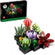 LEGO 乐高 多肉植物 10309 成人植物装饰积木套装(771件)