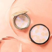 雅莉格丝 日本直邮elegance雅莉格丝粉饼e大饼170g PB-01持久定妆 1号 家庭装