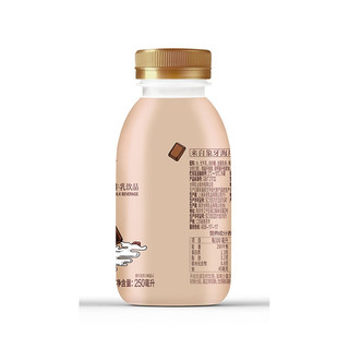 Bright 光明 巧克努力 牛乳饮品巧克力 250ml*4