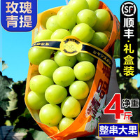 一统果家 阳光玫瑰葡萄3斤晴王葡萄新鲜无籽葡萄香印青提水果新鲜当季整箱 2斤