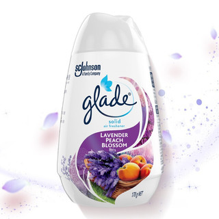 Glade 佳丽 清香空间固体清香胶 170g*2瓶 薰衣草桃花