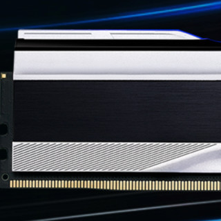 G.SKILL 芝奇 炫锋戟 DDR5 6000MHz RGB 台式机内存 灯条 白色 32GB 16GB*2
