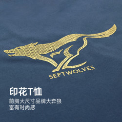 septwolves七匹狼22夏新款男t大logo图案印花上衣休闲短袖圆领男士t恤