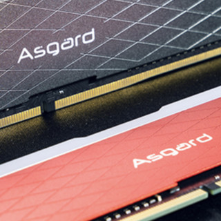 Asgard 阿斯加特 洛极系列 W2 DDR4 3200MHz RGB 台式机内存 RGB灯条 灰色 16GB 8GB*2