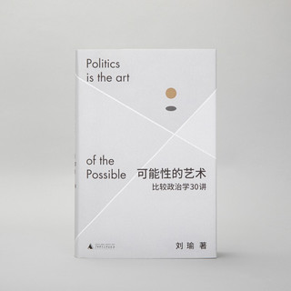 《可能性的艺术：比较政治学30讲》（精装）