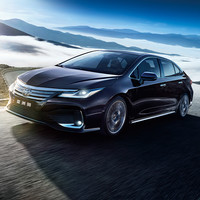 TOYOTA 一汽丰田 亚洲狮 22款 2.0L 尊悦版