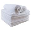 SAILUO 赛罗 清洁毛巾布 30*30cm 10条 白色
