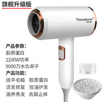 theradome/丝若得 新款发廊级大风力吹风机Theradome发廊吹风机家用大功率理发店负离子护发电吹风筒冷热风耐辉顿OE -2200W-胶原蛋白-9000万负离子