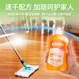 地板清洁剂片家用瓷砖沫拖地神器地瓷檬强力去除污垢专用清洗液装
