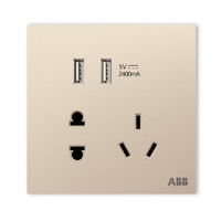 ABB 盈致系列 CA293-ZG 五孔带双USB插座 香槟金