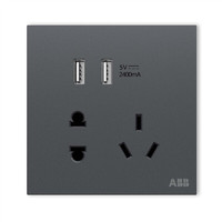 ABB 盈致系列 CA293-MG 五孔带双USB插座 太空灰