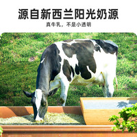 宜简气泡苏打水乳汽风味饮料乳酸菌发酵味白桃味0脂500ml*15瓶