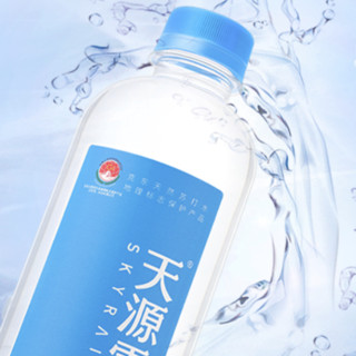 SKYRAIN 天源雪 克东天然苏打水 470ml