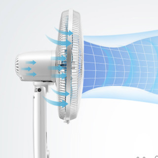 SINGFUN 先锋 DLD-D5 落地扇
