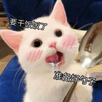 请大数据把这篇推给所有养宠人——从此以后的猫犬主粮，卫仕全包了！