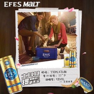 EFES土耳其艾菲啤酒纯麦330毫升24罐装